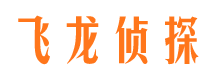 辰溪市侦探调查公司